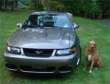 Overhead shots of my 2002 Mustang GT