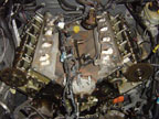 2002 Mustang GT Cams for sale