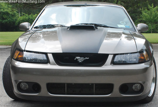 2002 Mustang GT w/ Shaker Hood  & Bullitt Wheels