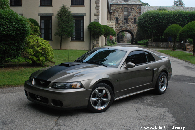 2002 Mustang GT w/ Shaker Hood  & Bullitt Wheels