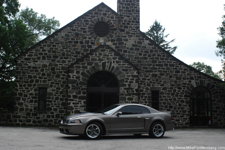 2002 Mustang GT w/ Shaker Hood  & Bullitt Wheels