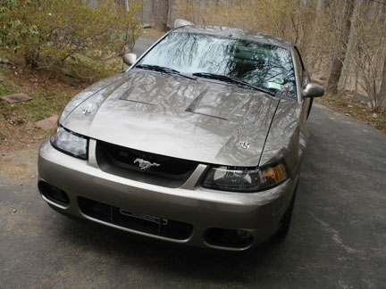 Stripes Removed — photo 4