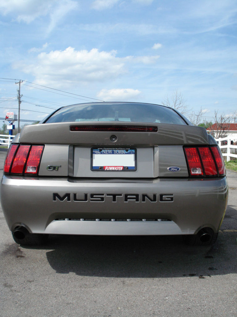 DSC00760 — Mustang photo