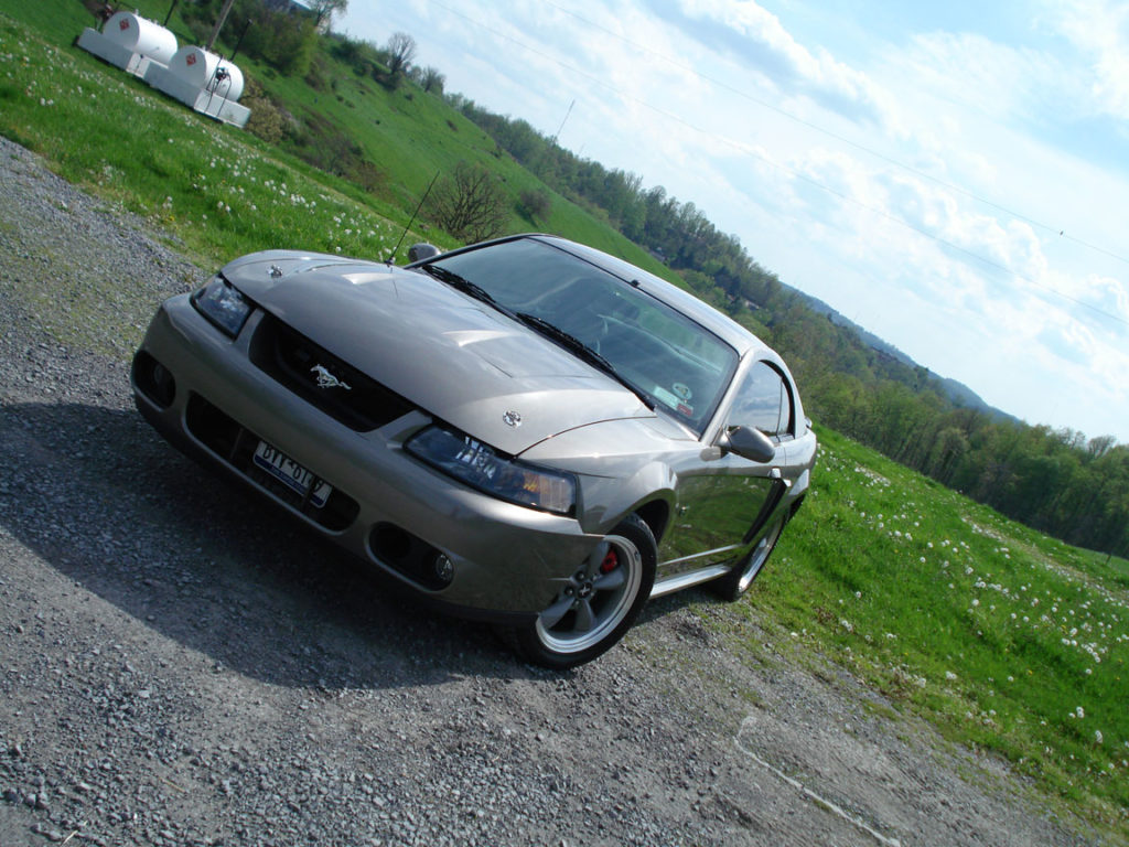 DSC00783 — Mustang photo