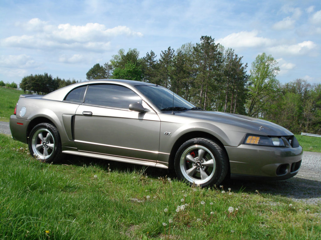 DSC00799 — Mustang photo