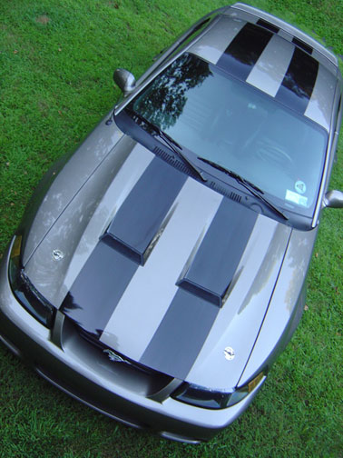 Zaino Polished — photo 4