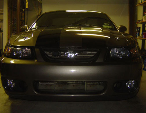 Zaino Polished — photo 6