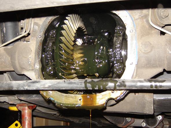 How To Install Gears on Your Mustang — photo 5
