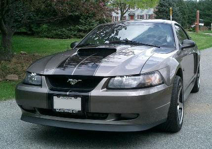 How To Add Stripes to your Mustang — photo 4