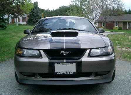 How To Add Stripes to your Mustang — photo 7